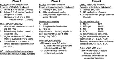 Characterization of the Ovine Vaginal Microbiome and Inflammation Patterns as an Improved Testing Model of Human Vaginal Irritation